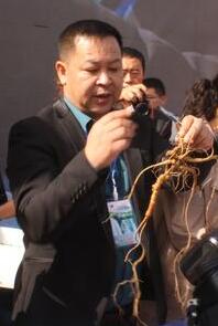 王国良